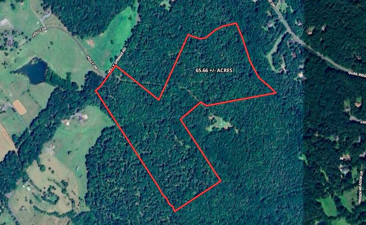 65.66 +/- Acre Wooded Land Parcel w/460' +/- of Road Frontage & Future Potential Division Rights in Culpeper County, VA--ONLINE ONLY BIDDING!!