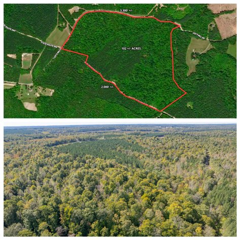 102 +/- Acre Timber Tract w/Large Amount of Frontage on 2 Roads--Lunenburg County, VA