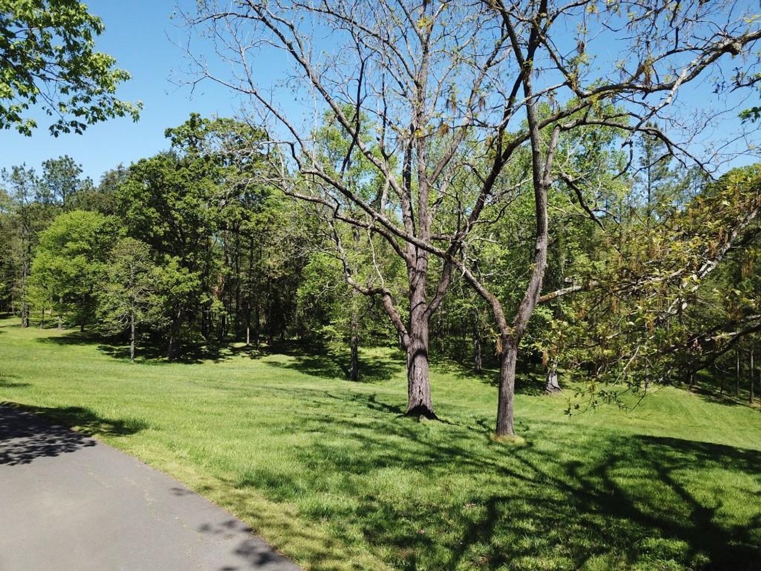 Myers Estate in Eastern Davie County