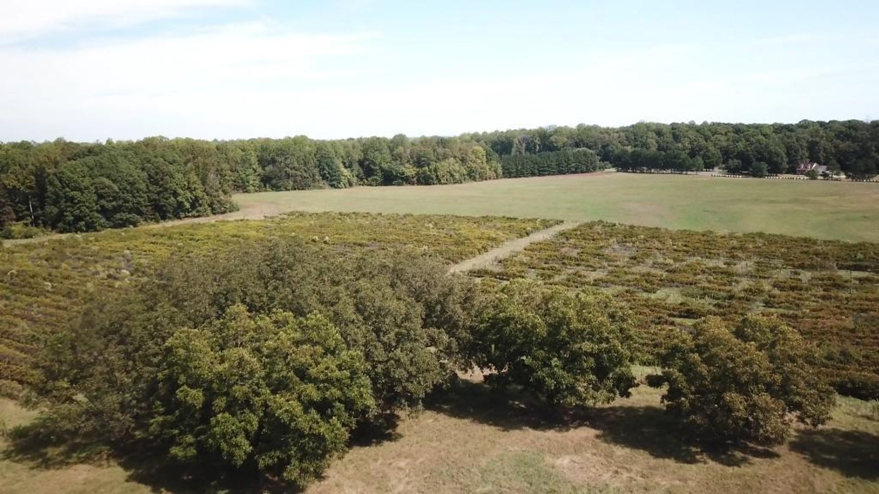 107 Acres -East Rowan County Acreage.