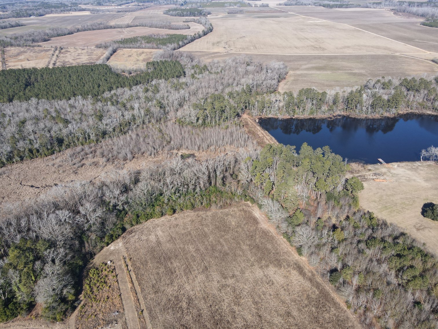 Bennettsville, SC Farmland and Large Pond