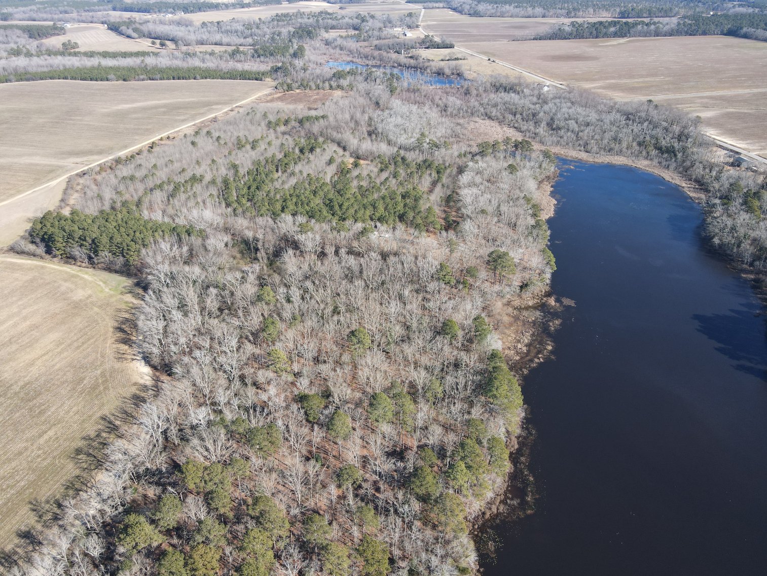 Bennettsville, SC Farmland and Large Pond