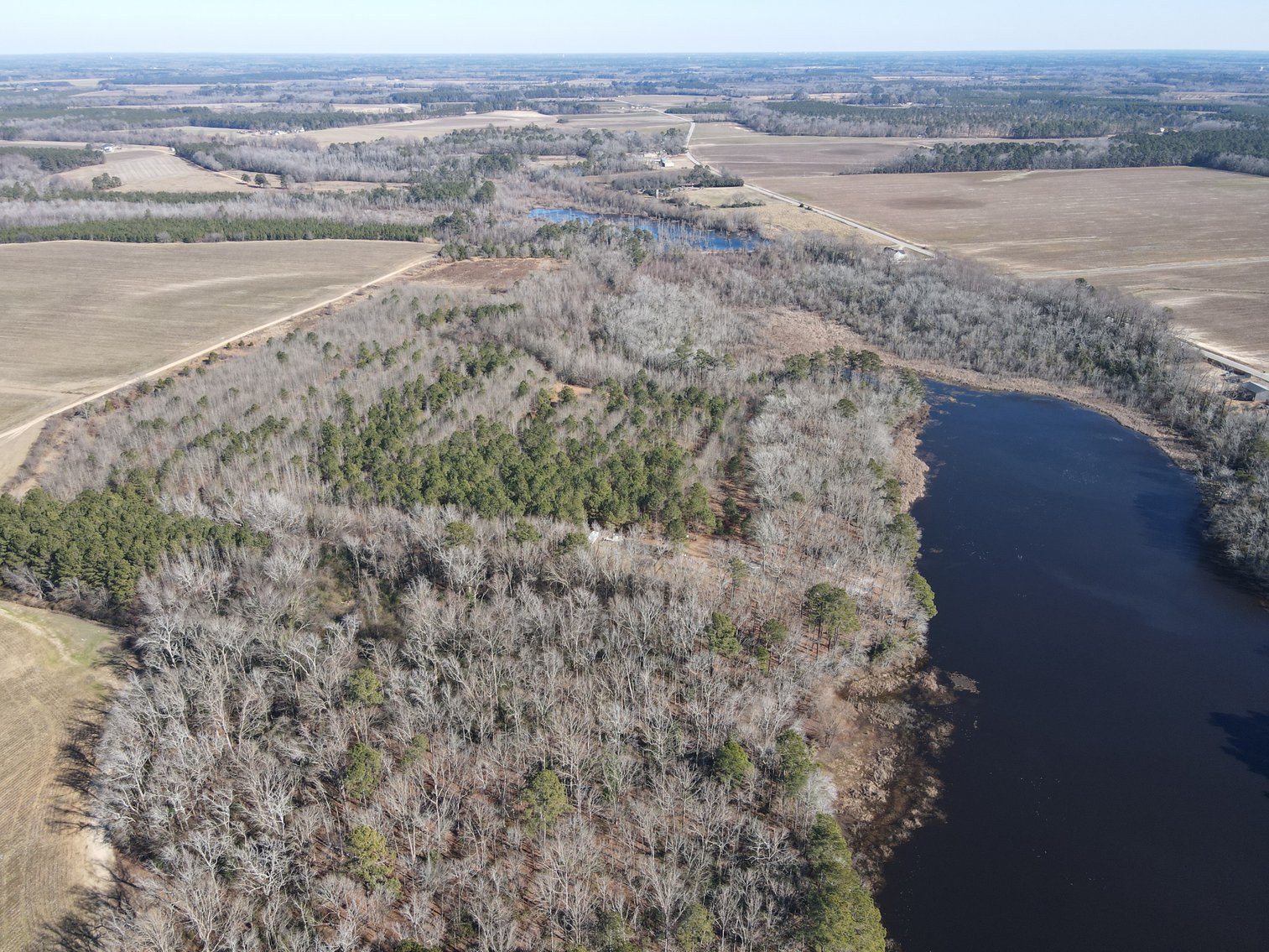 Bennettsville, SC Farmland and Large Pond