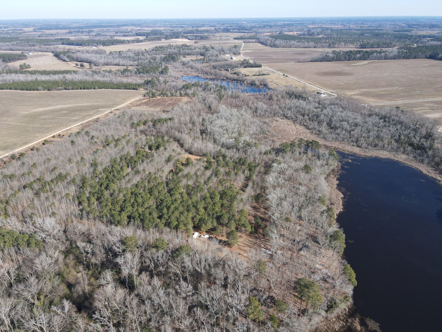 Bennettsville, SC Farmland and Large Pond