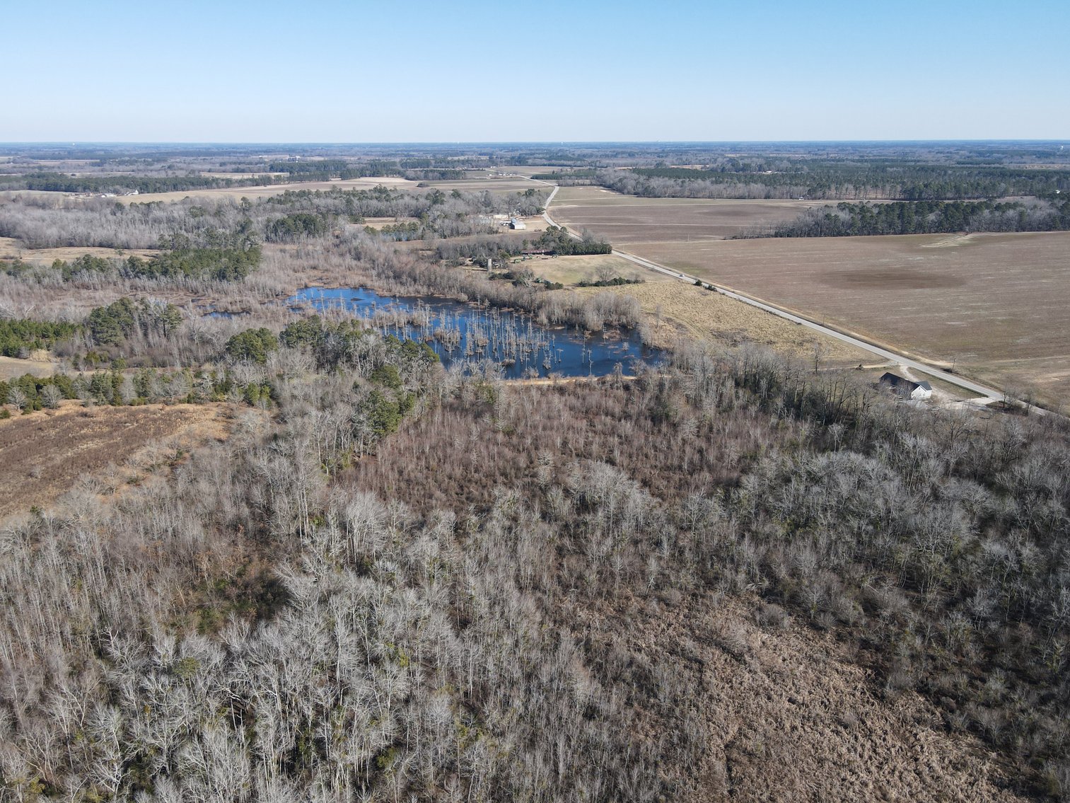 Bennettsville, SC Farmland and Large Pond