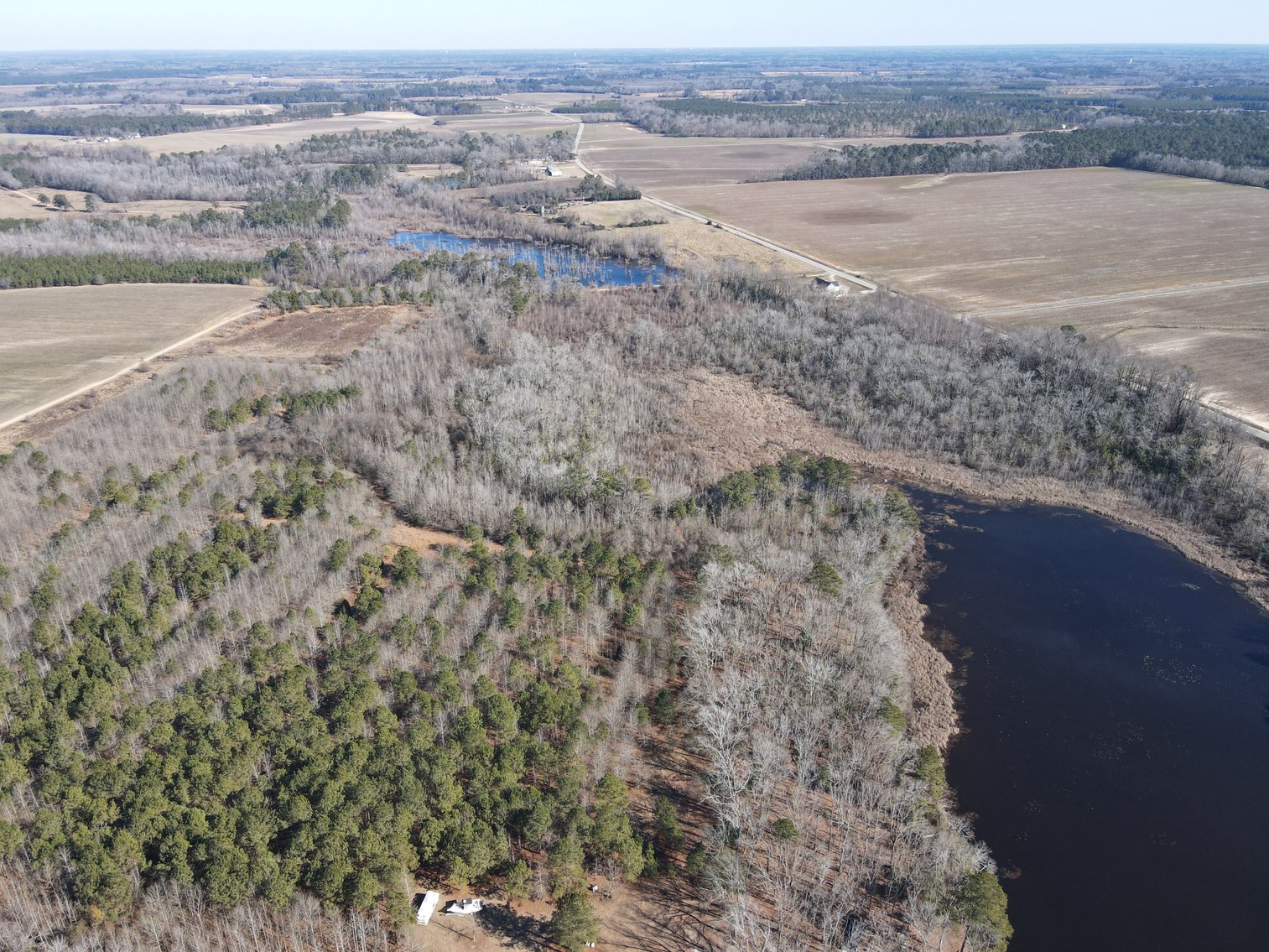 Bennettsville, SC Farmland and Large Pond