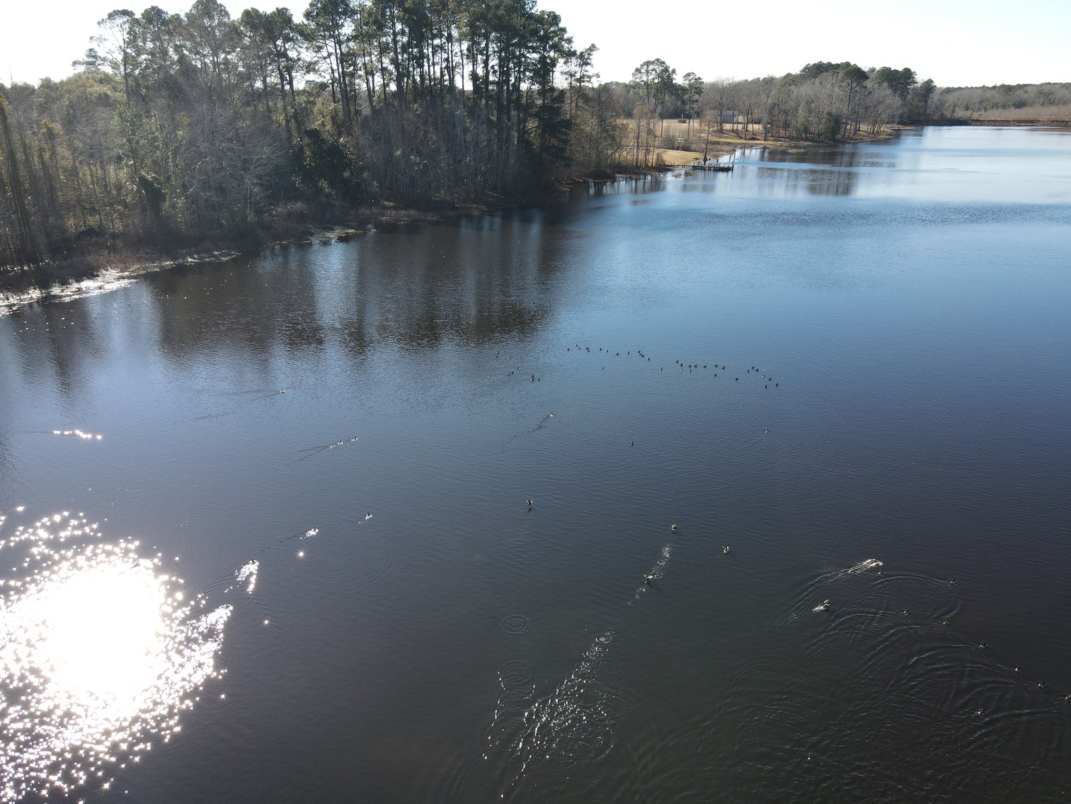 Bennettsville, SC Farmland and Large Pond