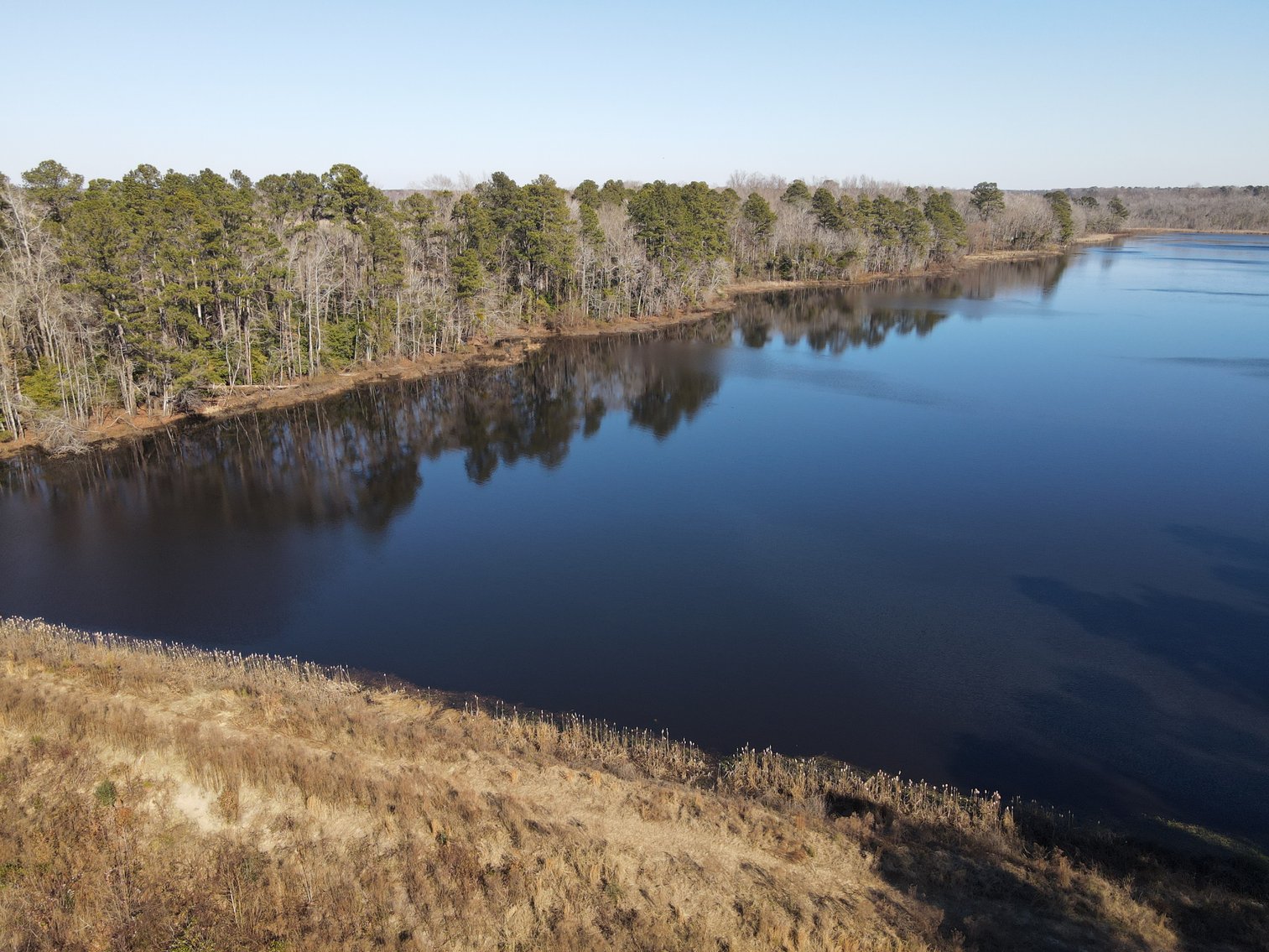 Bennettsville, SC Farmland and Large Pond