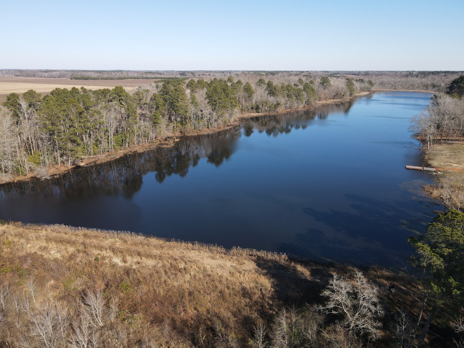 Bennettsville, SC Farmland and Large Pond