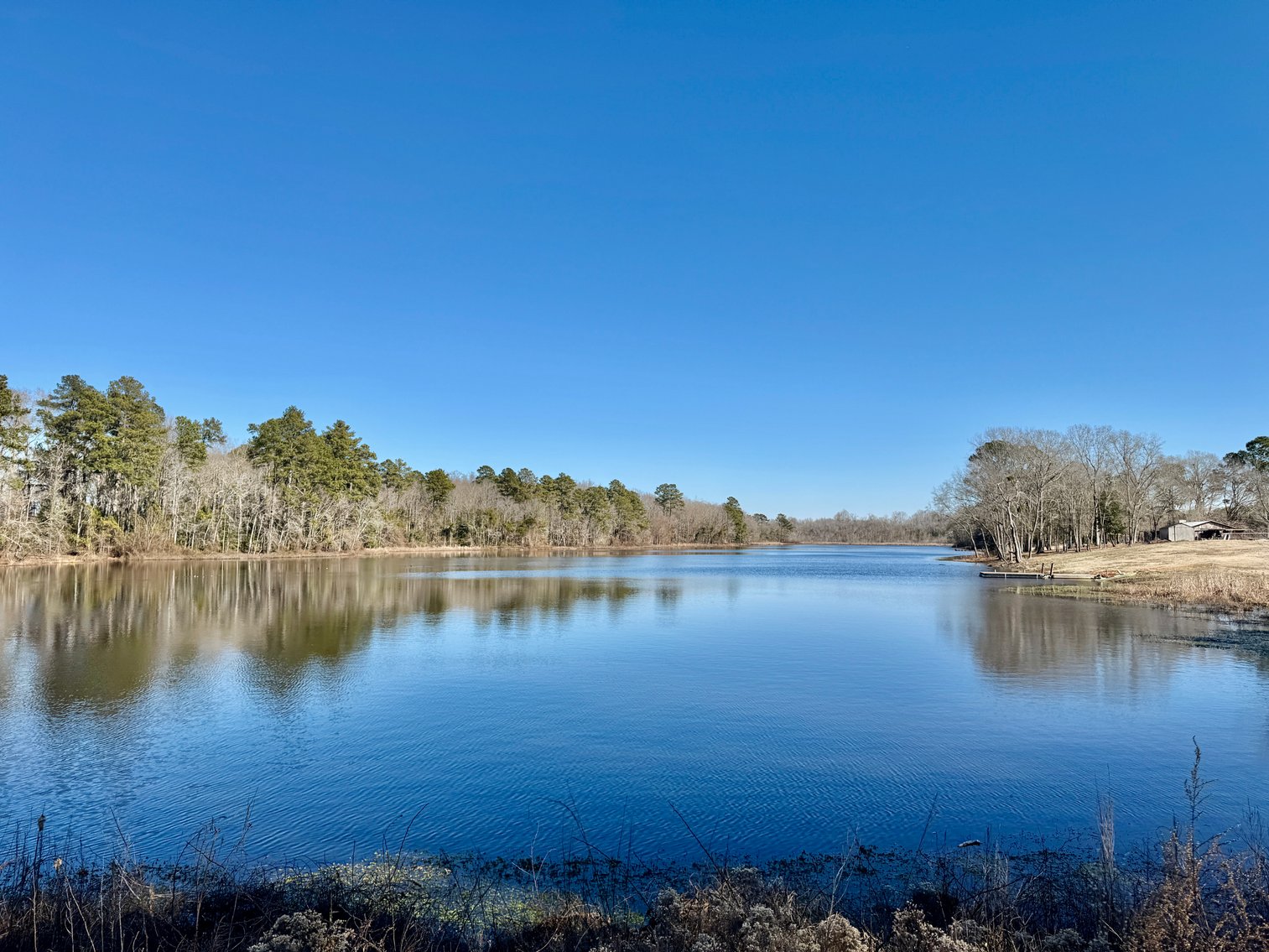 Bennettsville, SC Farmland and Large Pond