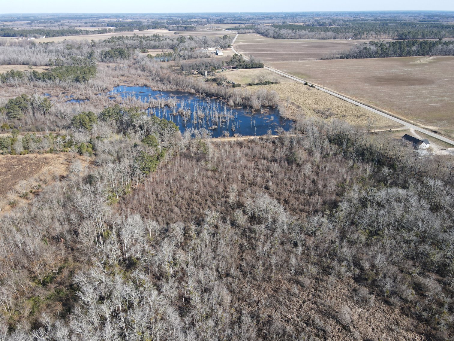 Bennettsville, SC Farmland and Large Pond