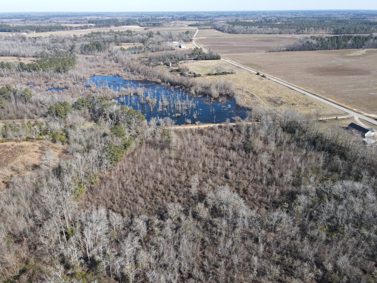 Bennettsville, SC Farmland and Large Pond