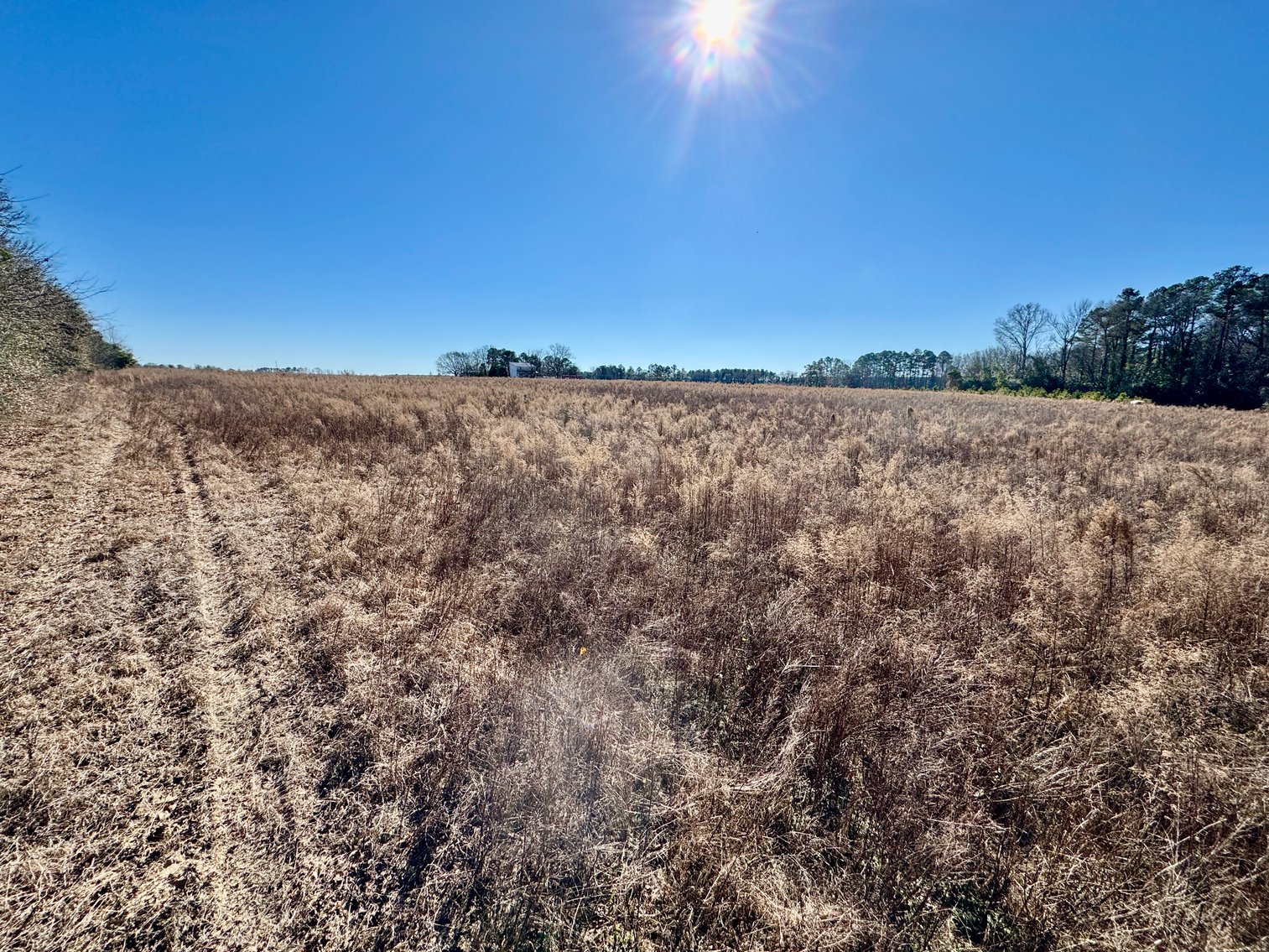 Bennettsville, SC Farmland and Large Pond