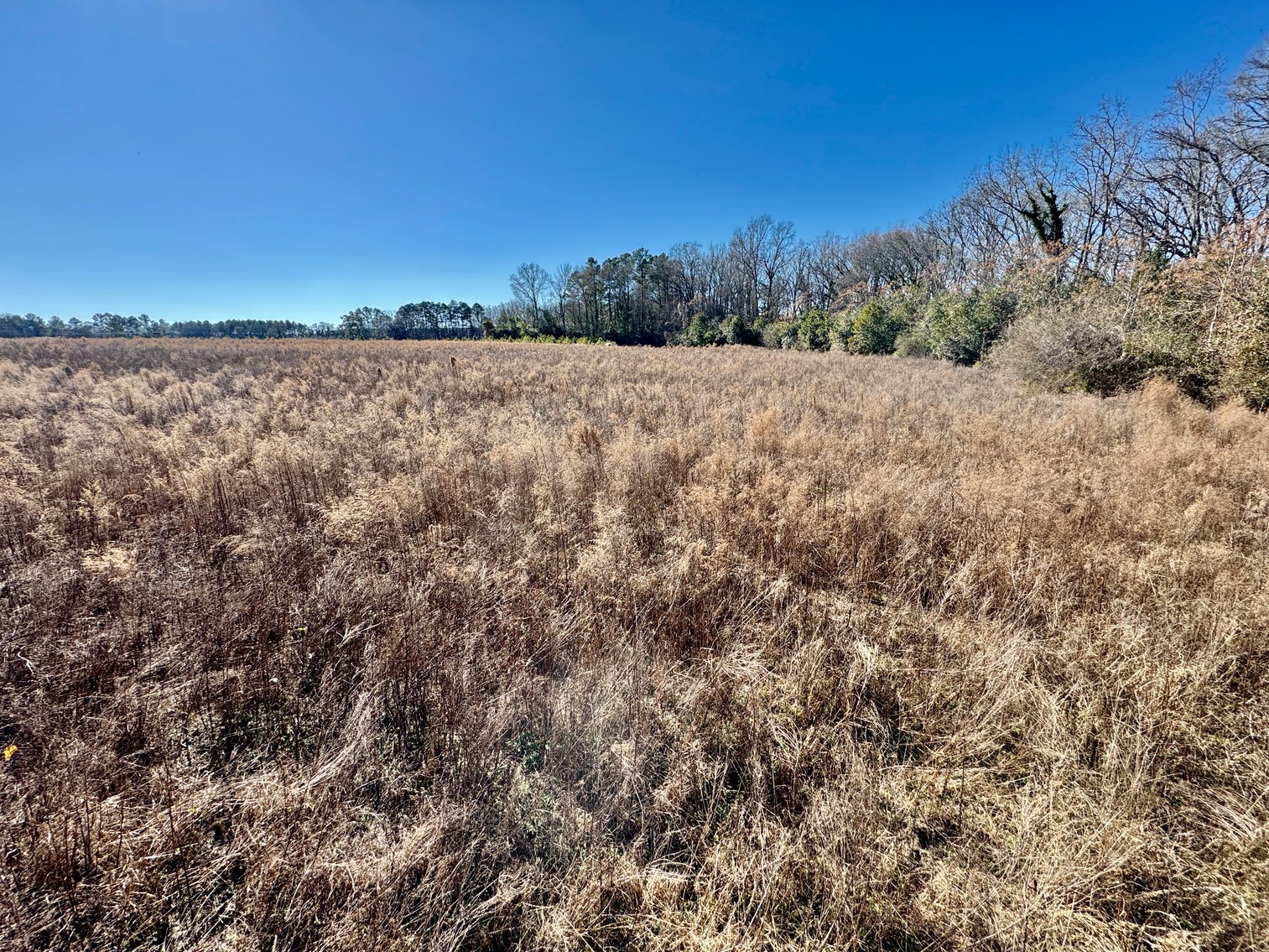 Bennettsville, SC Farmland and Large Pond