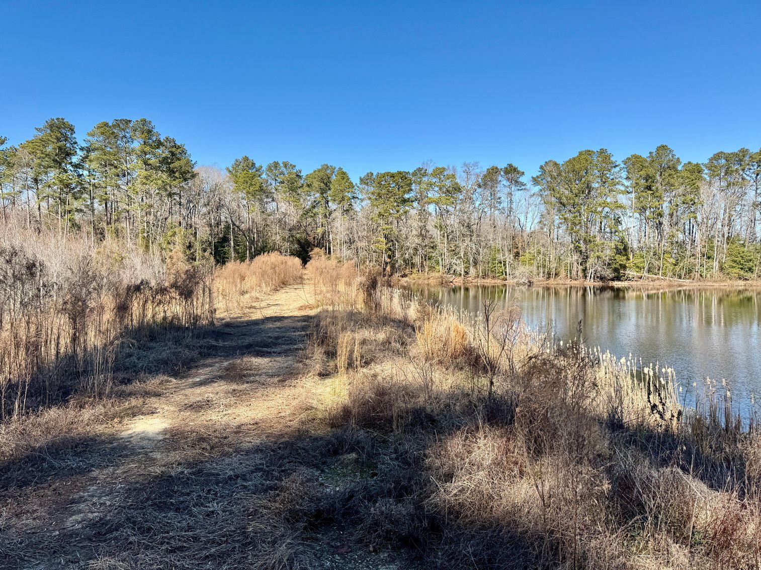 Bennettsville, SC Farmland and Large Pond