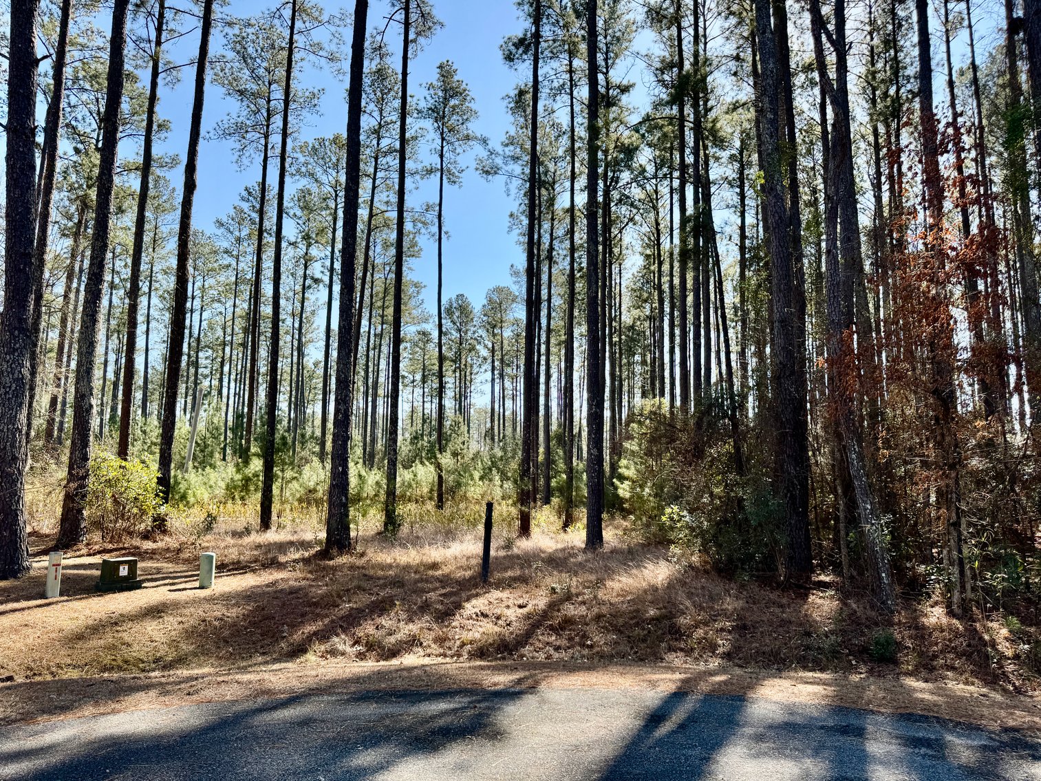 Coastal Carolina Auction - 29+ Acres of Pamlico Plantation Paradise