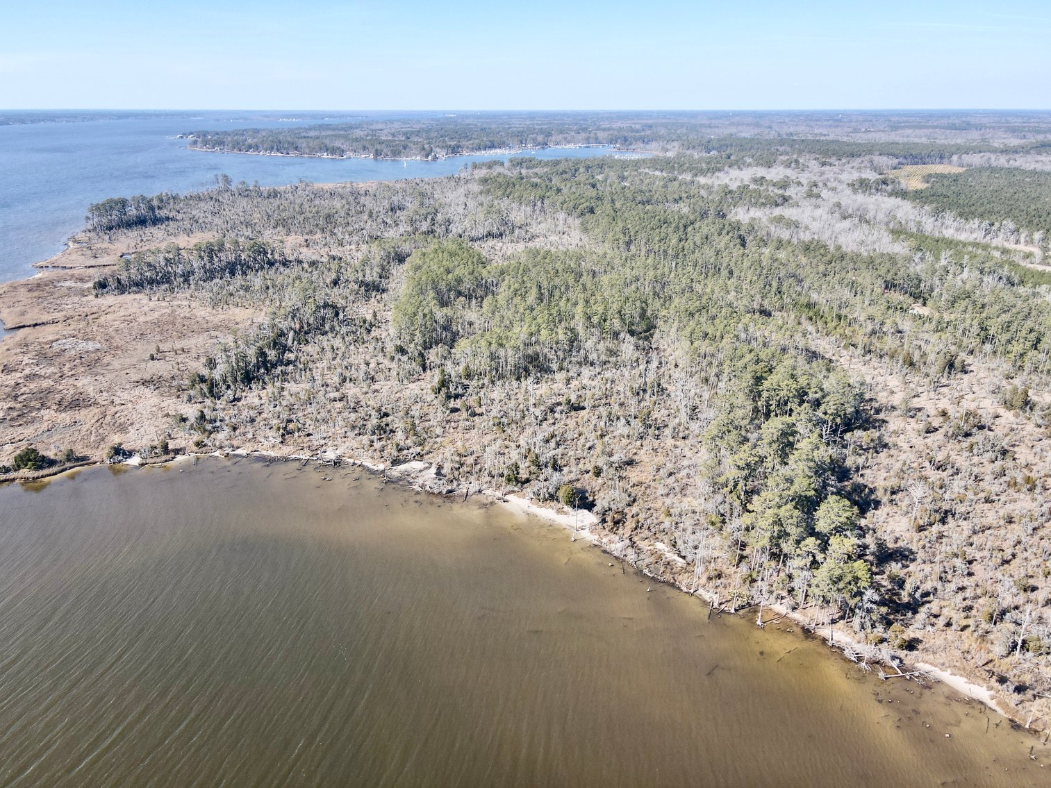 Coastal Carolina Auction - 29+ Acres of Pamlico Plantation Paradise