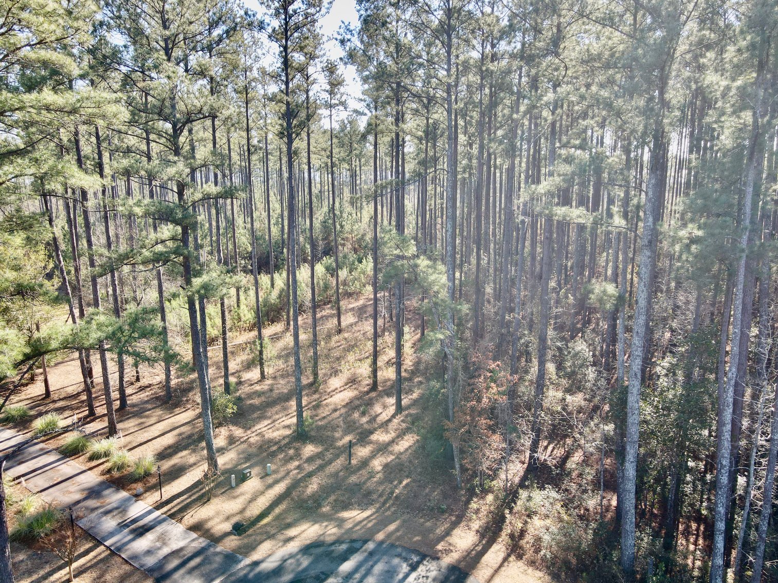 Coastal Carolina Auction - 29+ Acres of Pamlico Plantation Paradise