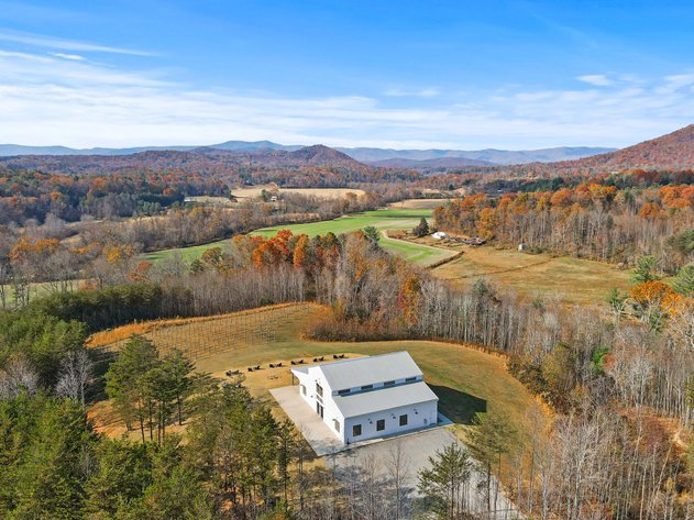 Vineyard and Wedding Venue For Sale in Mount Airy - 364 Beast Trail