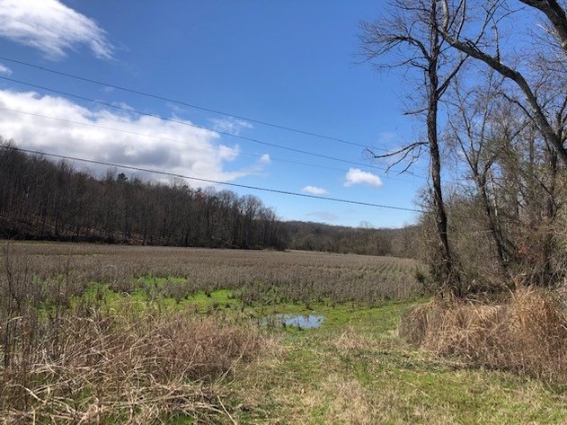 Land For Sale in Pfafftown - 000 River Ridge Road