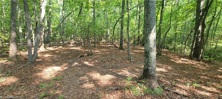 Land for Sale in Mount Airy - 00 E Pine Street