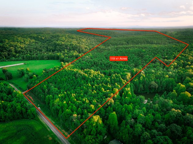 119± Acre Land Auction