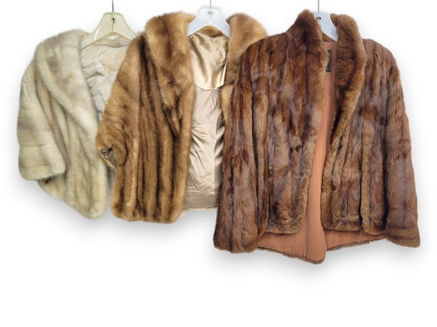 Mink Fur Capes - Sibley Lindsay Curr Co. & Marshall Field & Company