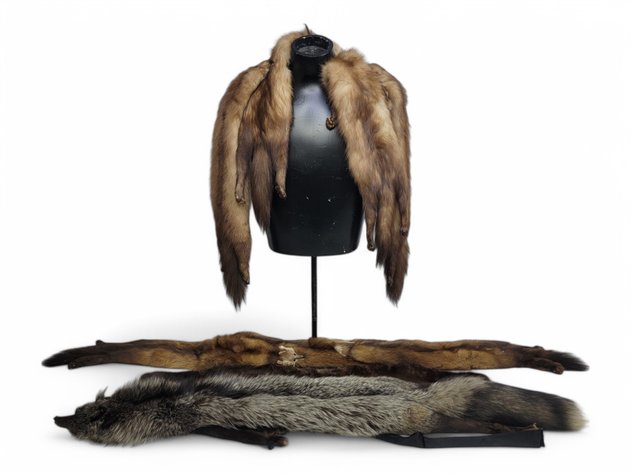 Mink & Fox Fur Stoles - David Green & Dittrich