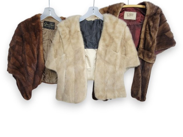 Mink Fur Capes & Shawl - Vogue Furriers & Gross Furs