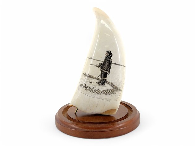 Large Scrimshaw Sperm Whale Tooth