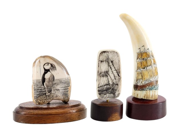 Group of Scrimshaw - David Adams, Michael E. Scott & Other