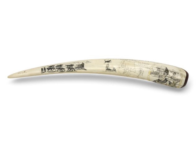 1989 Iditarod Presentation Award - Scrimshaw Walrus Tusk by Joe Blatchford