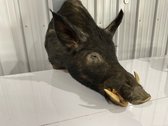 Wild Boar Mount