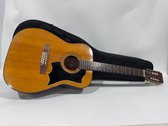 12 String Acoustic  Guitar 