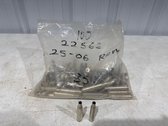 Bag Of 25-06 Rem Casings 