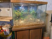 Fish Or Reptile Tank And Stand