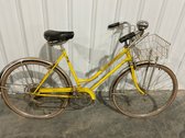 Schwinn Collegiate Bicycle