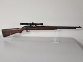 Winchester .22LR Semi-Auto Rifle 