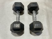 20 Lb.Rubber Hex Dumbbells