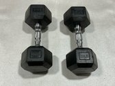 20 Lb. Rubber Hex Dumbbells