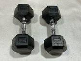 20 Lb. Rubber Hex Dumbbells