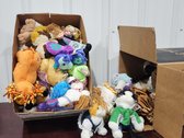 Beanie Baby Collections 