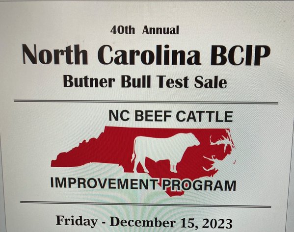 NC BCIP Butner Bull Sale