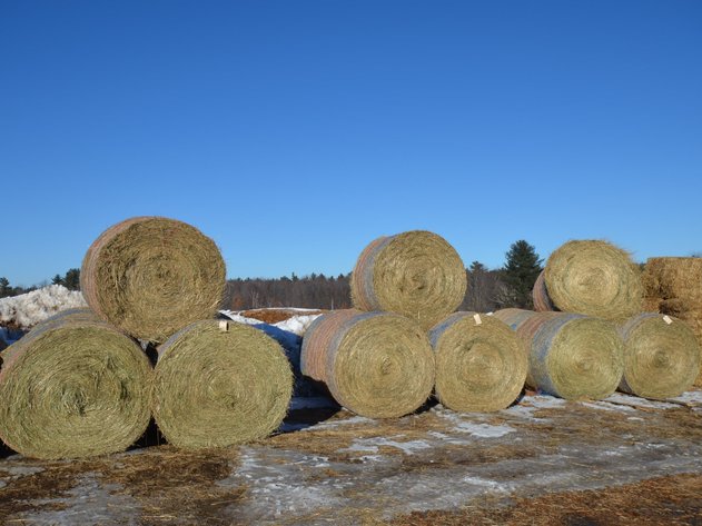 EARLY JANUARY HAY AND FIREWOOD AUCTION - Fairchild, WI