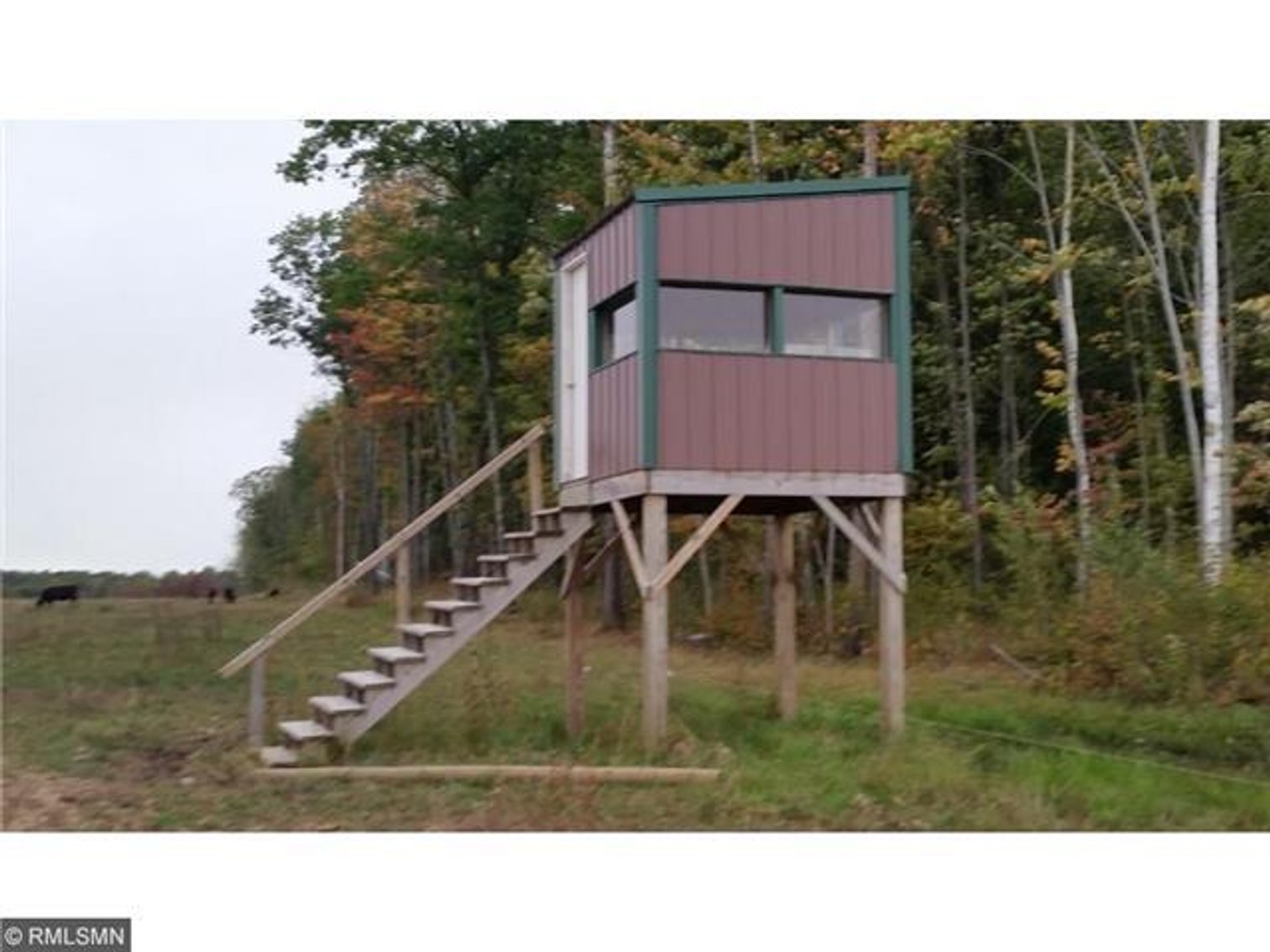 Hunting Land in Blackduck, MN