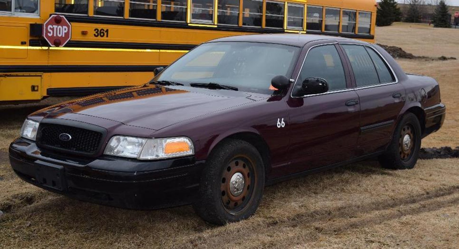 School Buses and Police Cars