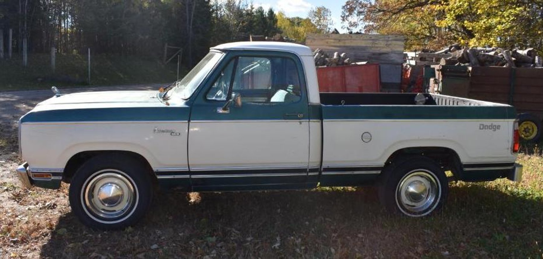 1979 Dodge D-100 Truck