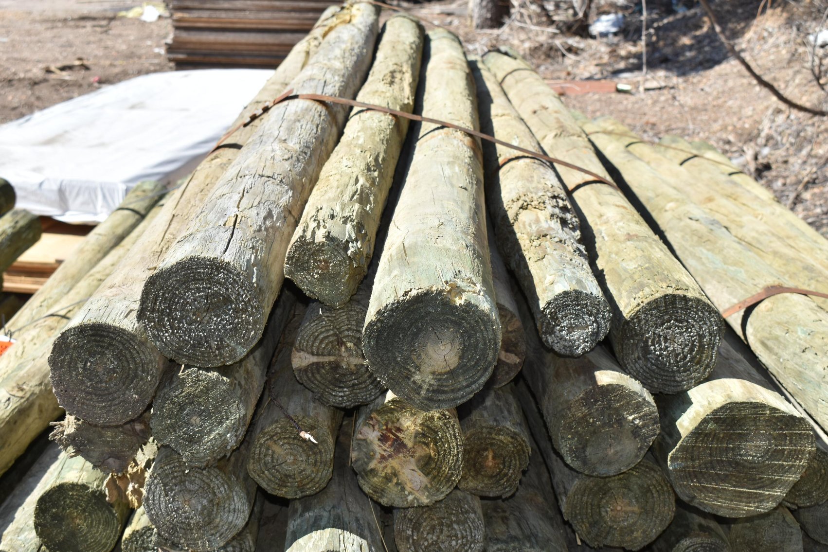 Lumber Yard Material: Trim, Fencing, Lumber, Quick Set