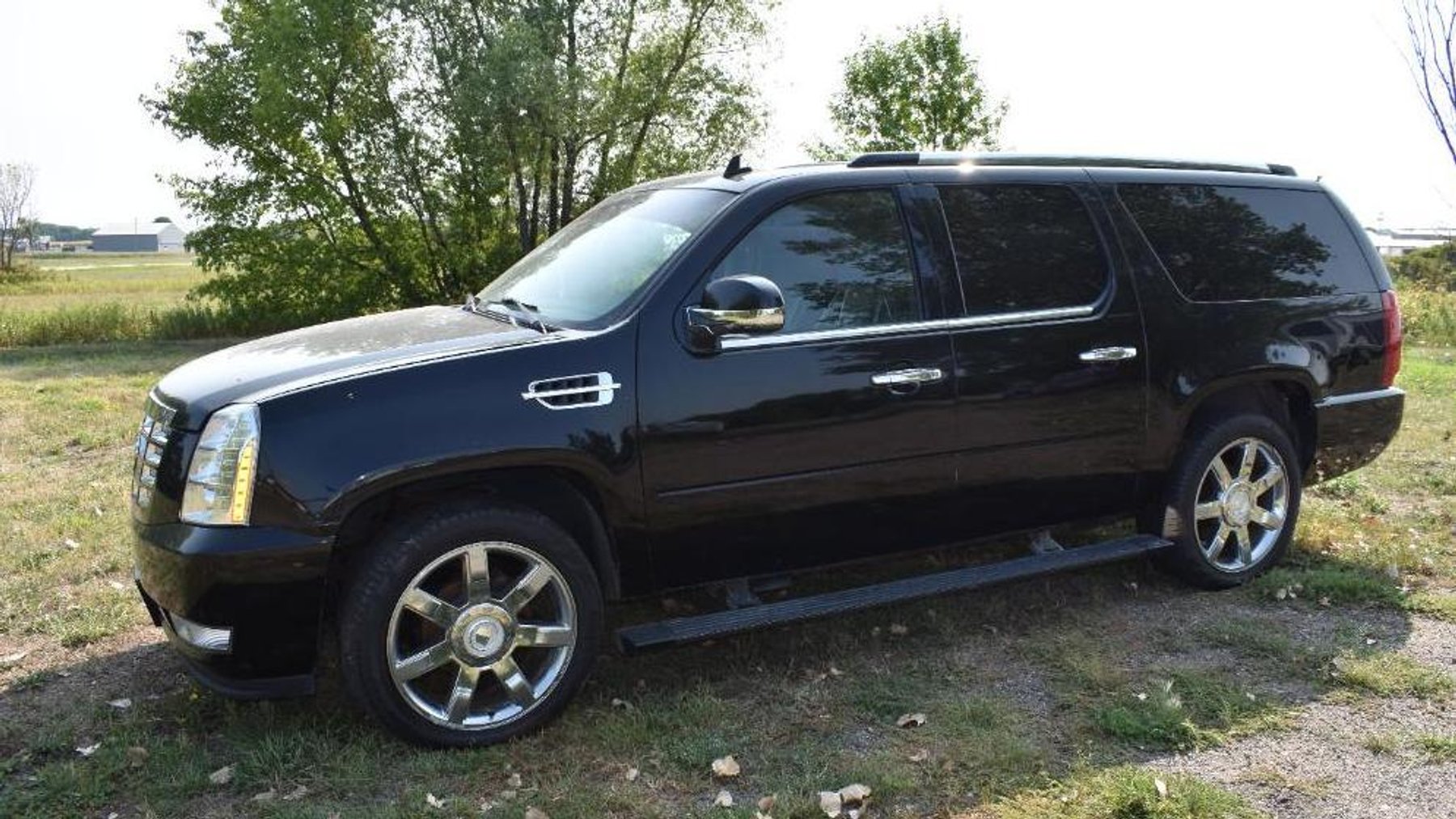 2007 Cadillac Escalade & 2001 Ford Focus