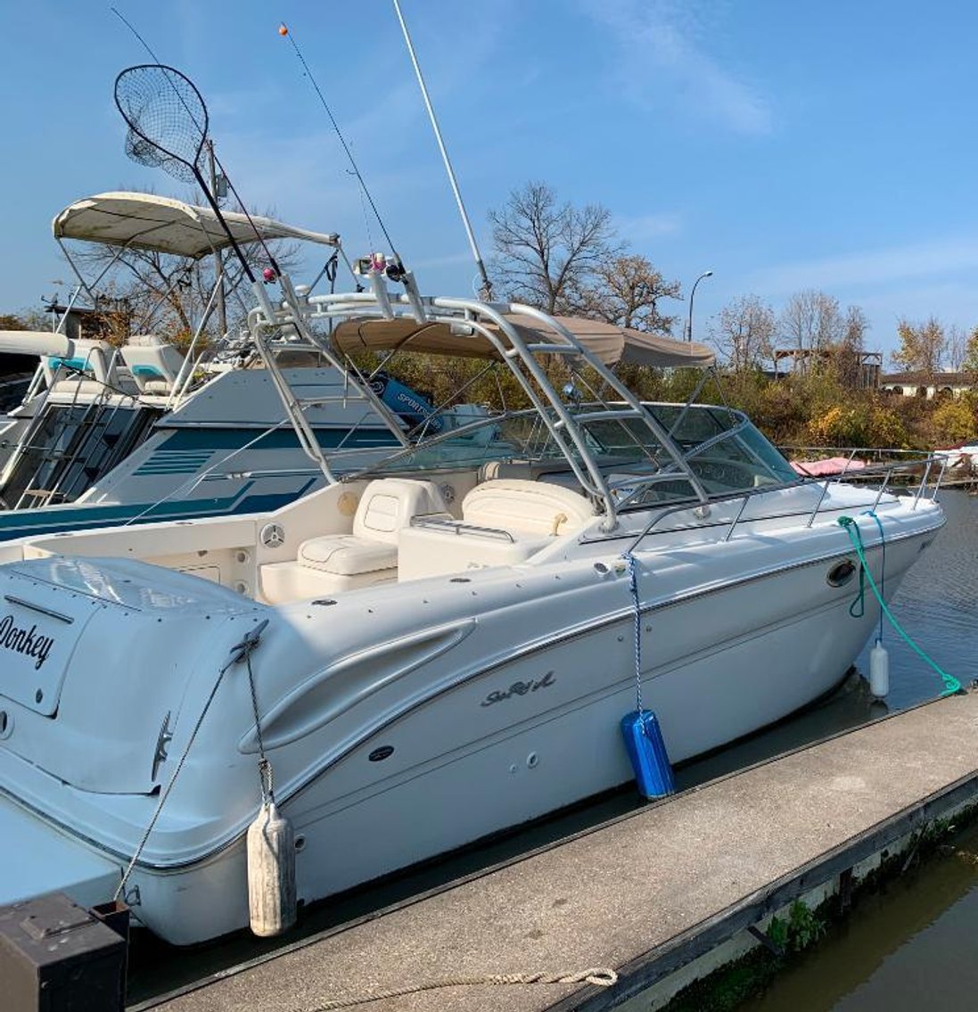 2001 Sea Ray Amberjack 290